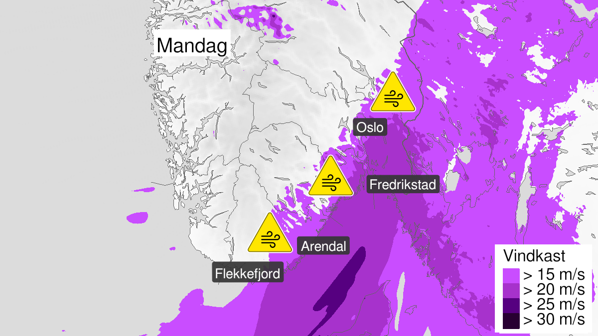 Kart over kraftige vindkast, gult nivå, Vest-Agder, Aust-Agder, Telemark, Vestfold, Østfold, Oslo og Akershus og Buskerud, 02 November 03:00 UTC til 02 November 20:00 UTC.