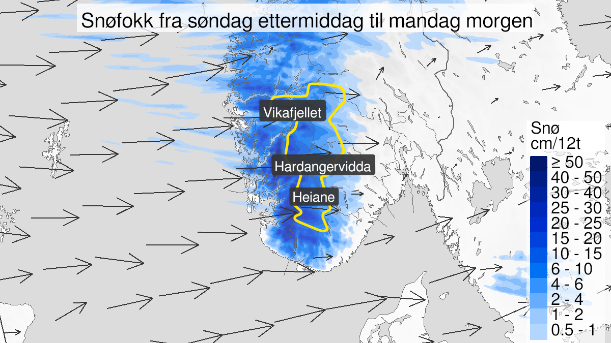 Map over Blowing snow, yellow level, Parts of mountain areas in South-Norway, 2024-02-04T11:00:00+00:00, 2024-02-05T04:00:00+00:00