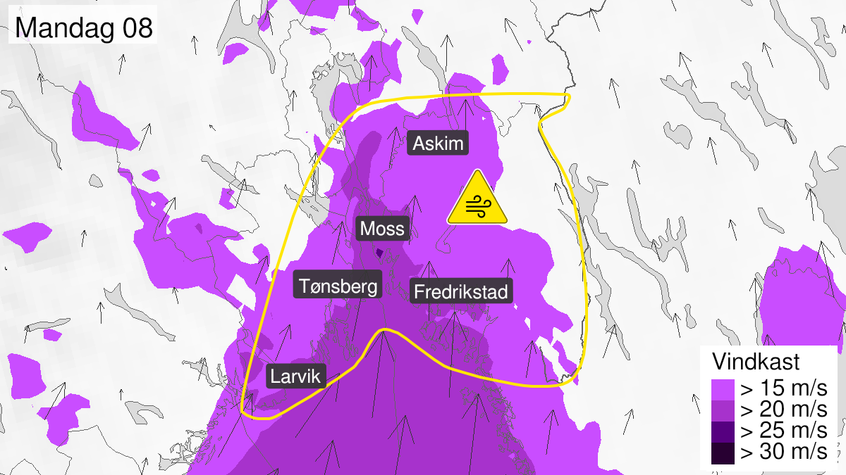 Map over Strong wind gusts, yellow level, Around the Oslo fjord, 2024-08-26T02:00:00+00:00, 2024-08-26T11:00:00+00:00