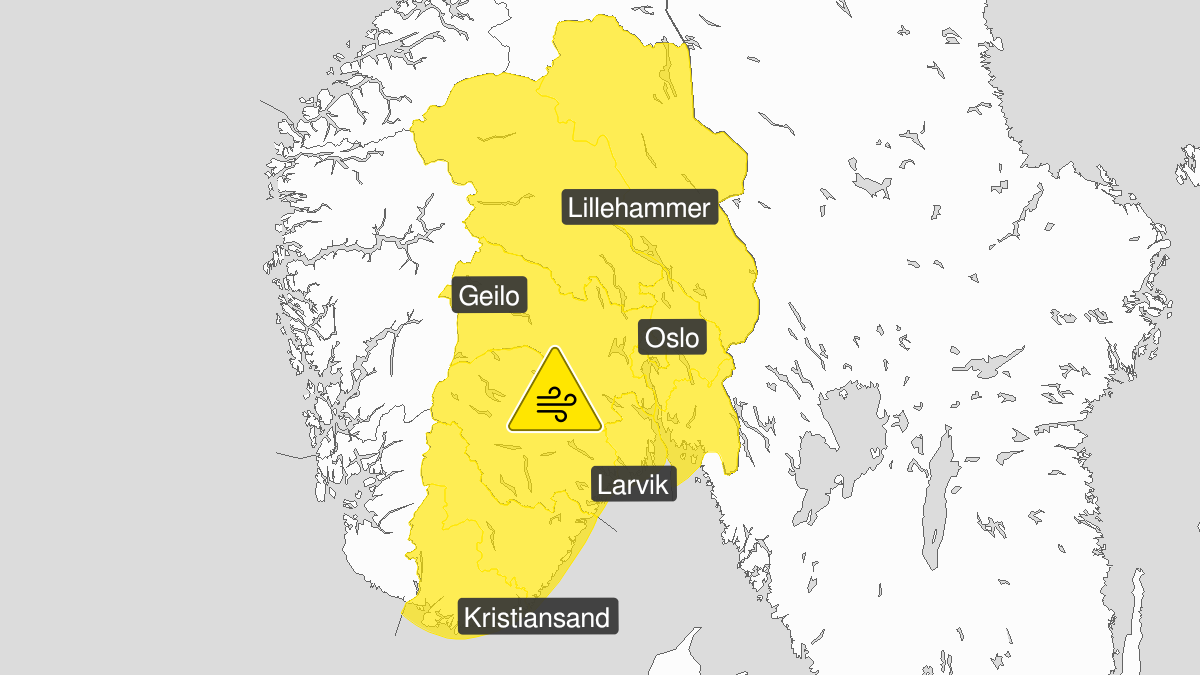 Kart over kraftige vindkast, gult nivå, Østafjells, 29 January 14:00 UTC til 30 January 05:00 UTC.