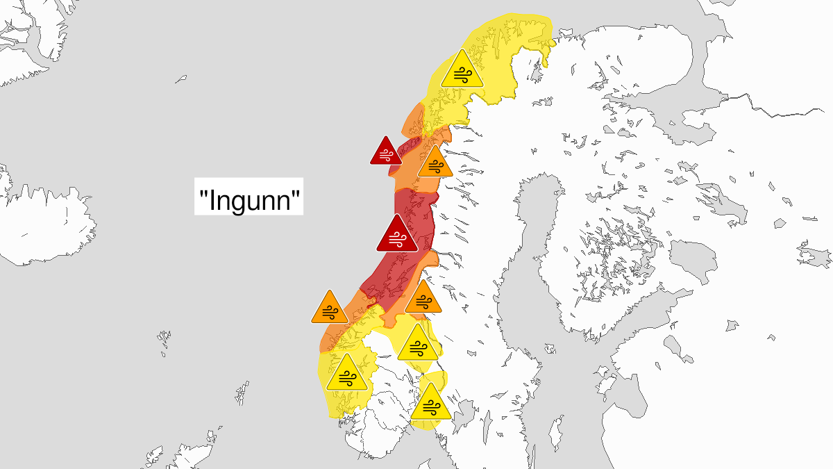 Kart over Kraftige vindkast, gult nivå, Nordlige del av Innlandet, 2024-02-01T08:00:00+00:00, 2024-02-01T12:00:00+00:00