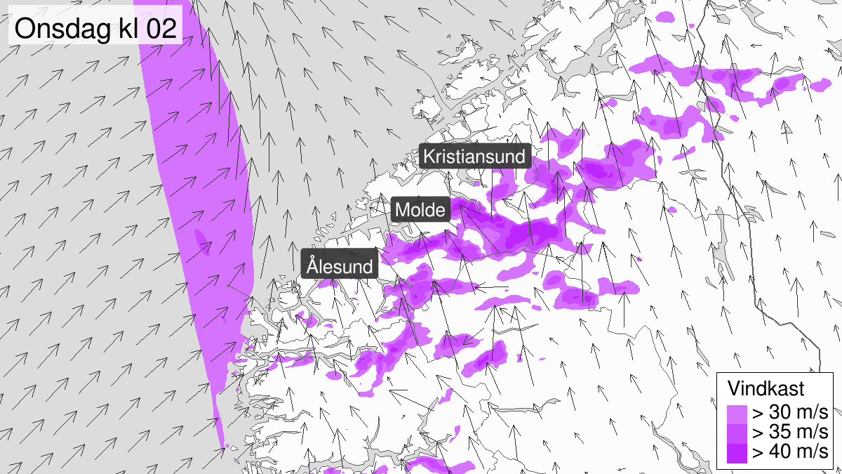 Strong wind gusts, yellow level, Oppdal, Rennebu, Meldal, Røros, Holtålen and Midtre Gauldal, 10 December 16:00 UTC to 11 December 06:00 UTC.