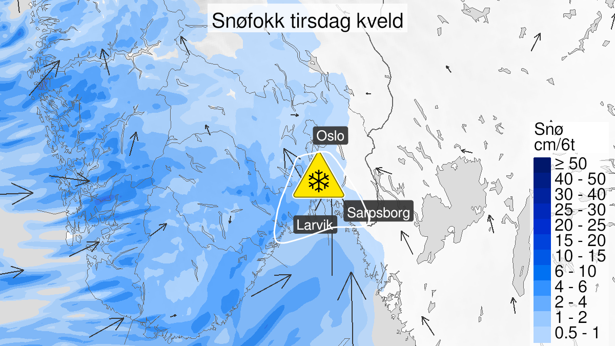 Map over Blowing snow, yellow level, Coastal areas Østlandet, 2024-01-16T11:00:00+00:00, 2024-01-16T11:05:00+00:00