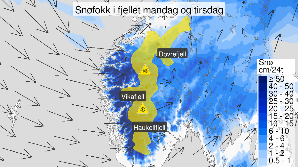 Kart over Kraftig snøfokk, gult nivå, Fjellet i Sør-Norge, 2024-01-21T23:00:00+00:00, 2024-01-23T10:00:00+00:00