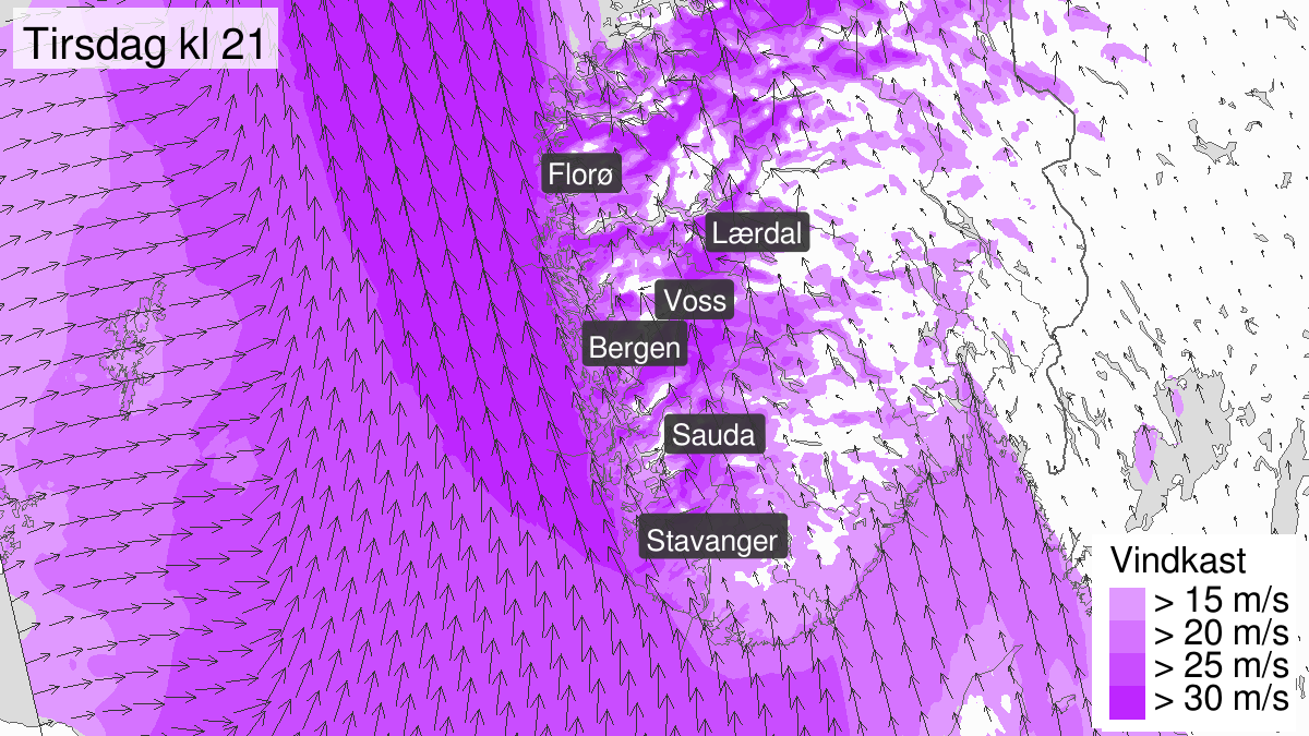 Kraftige vindkast, gult nivå, Vestlandet sør for Stad, 10 December 12:00 UTC til 10 December 23:00 UTC.