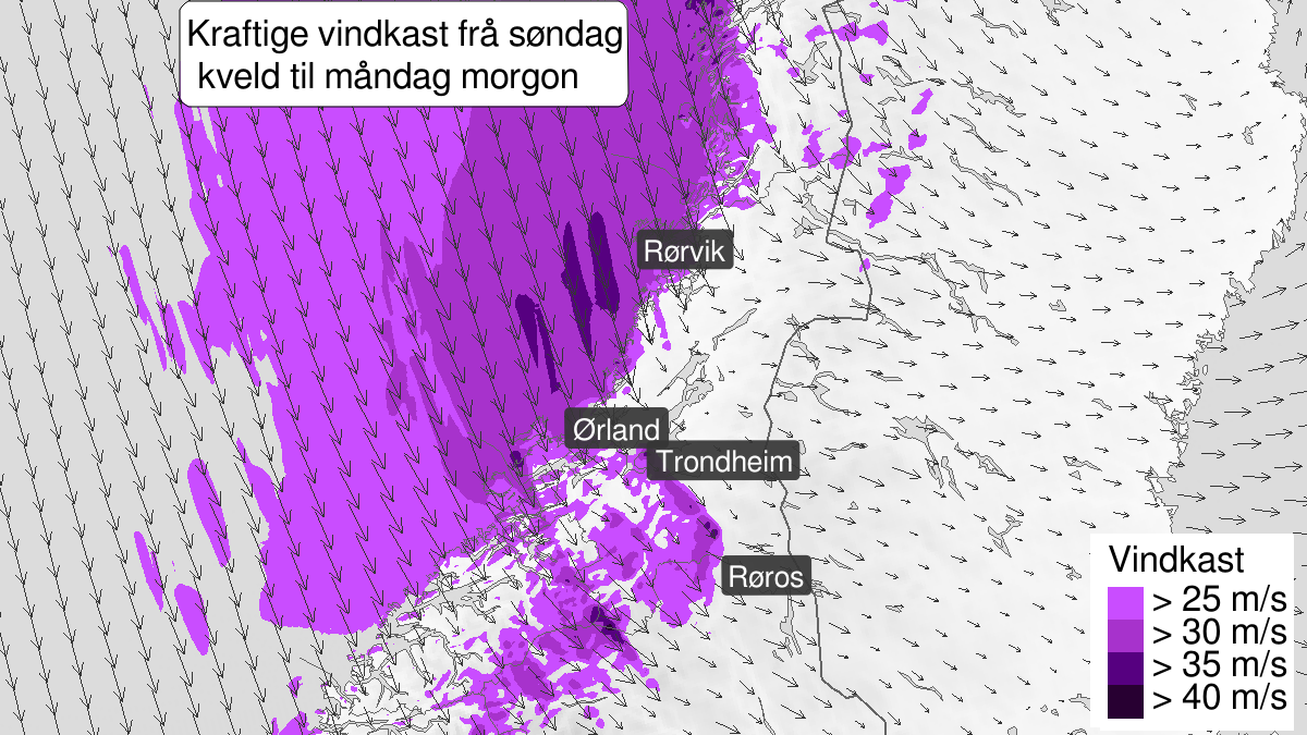 Map of strong wind gusts, yellow level, Trøndelag, 12 April 21:00 UTC to 13 April 05:00 UTC.