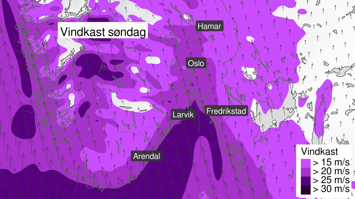 Kraftige vindkast, gult nivå, Oslo, Akershus, Buskerud, Vestfold og Telemark, 09 February 06:00 UTC til 09 February 19:00 UTC.