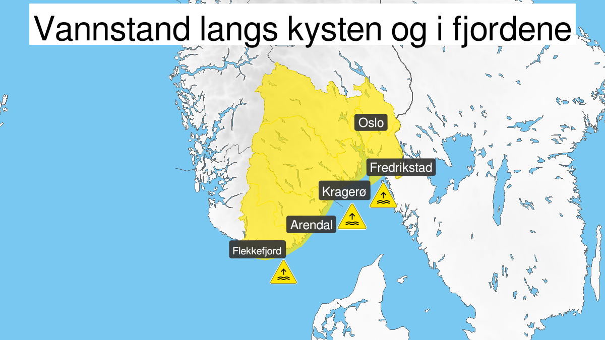Kart over høy vannstand, gult nivå, Vest-Agder, Aust-Agder, Telemark, Vestfold, Østfold, Oslo og Akershus og Buskerud, 29 January 12:00 UTC til 30 January 04:00 UTC.
