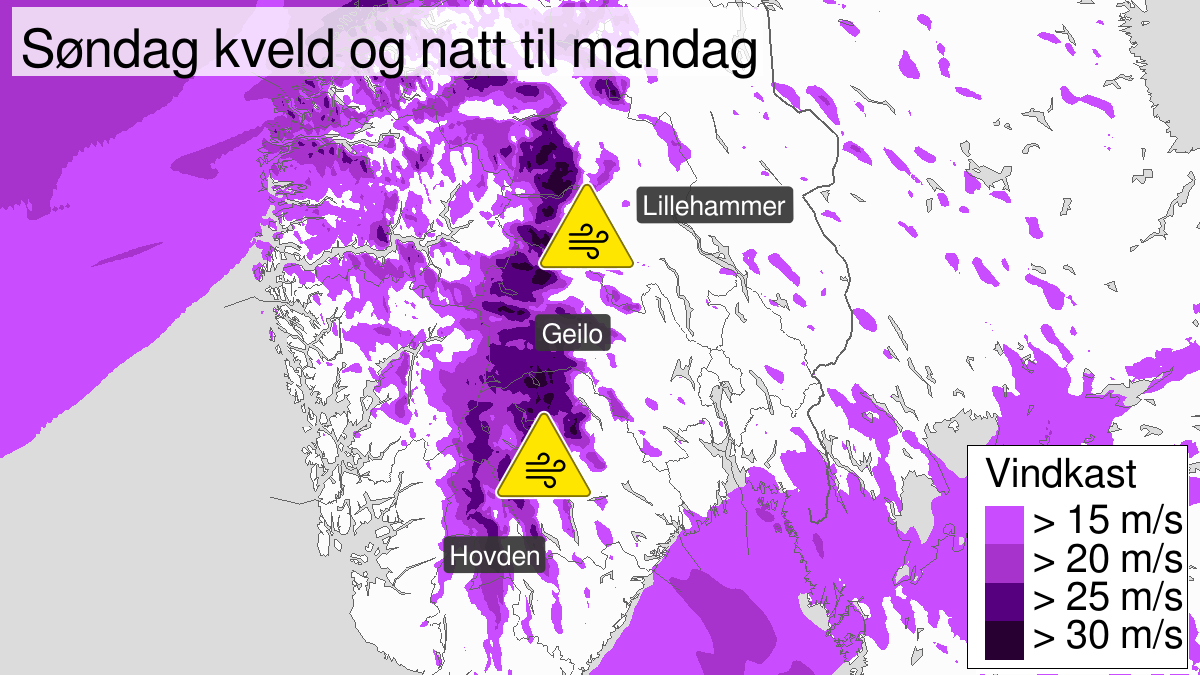 Strong wind gusts, yellow level, Agder, Telemark, Buskerud and Oppland, 29 December 16:00 UTC to 30 December 06:00 UTC.