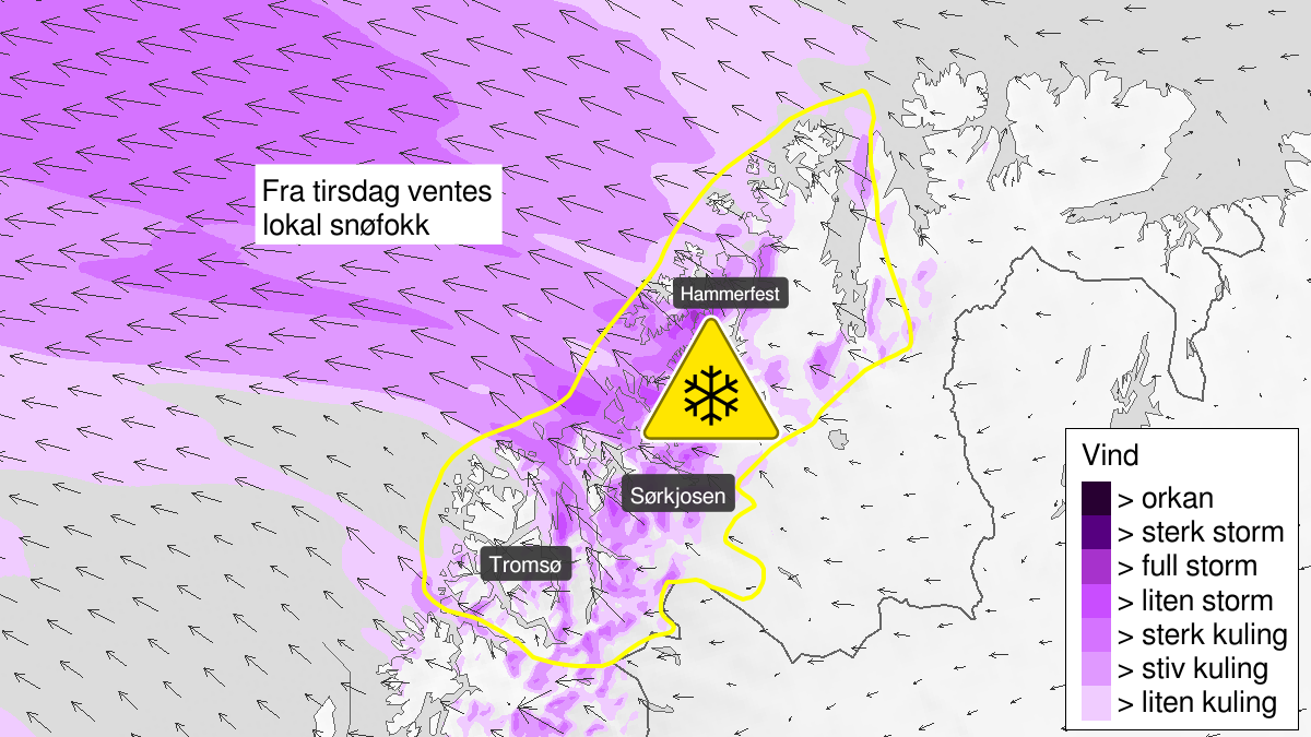 Kraftig snøfokk, gult nivå, Nord-Troms og Kyst- og fjordstrøkene i Vest-Finnmark, 28 January 09:00 UTC til 31 January 03:00 UTC.