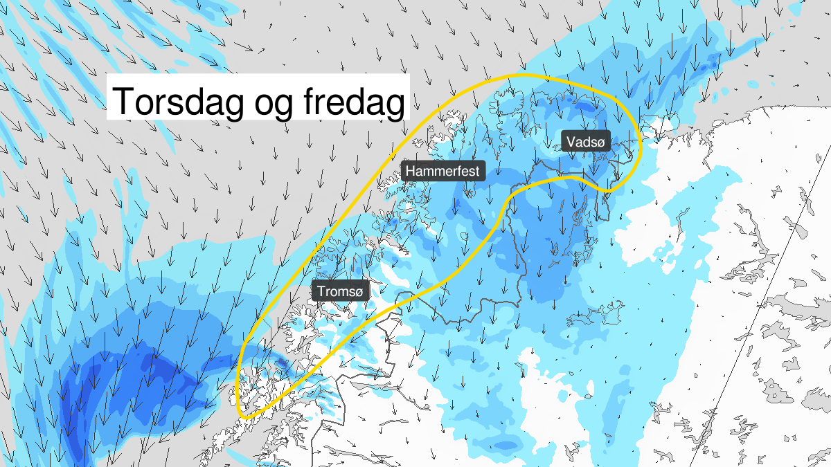Blowing snow, yellow level, Lofoten, Vesteraalen, Troms and Finnmark, 12 March 12:00 UTC to 13 March 09:00 UTC.