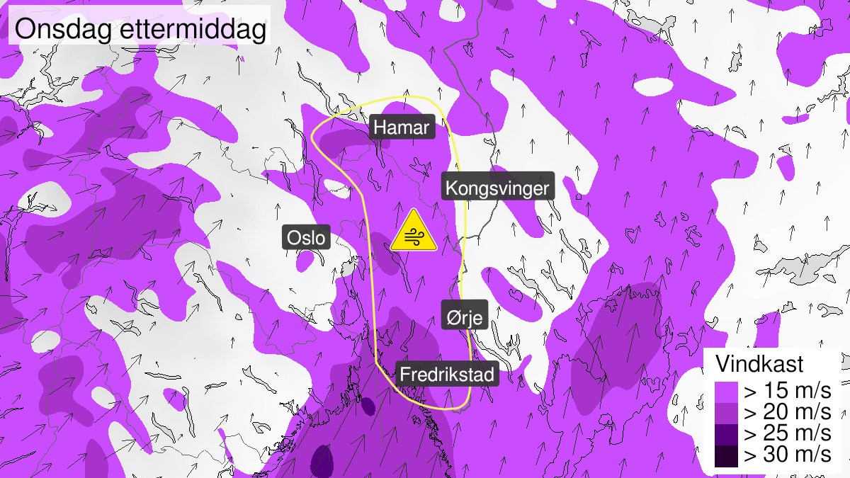 Kart over Kraftige vindkast, gult nivå, Østlige deler av Viken og sørlige deler av Innlandet, 2023-11-22T11:00:00+00:00, 2023-11-22T16:00:00+00:00