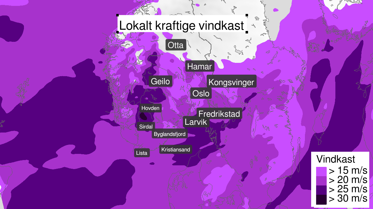 Strong wind gusts ongoing, yellow level, Vest-Agder, Aust-Agder, Telemark, Vestfold, Oestfold, Oslo and Akershus and Buskerud, 22 February 08:00 UTC to 22 February 17:00 UTC.