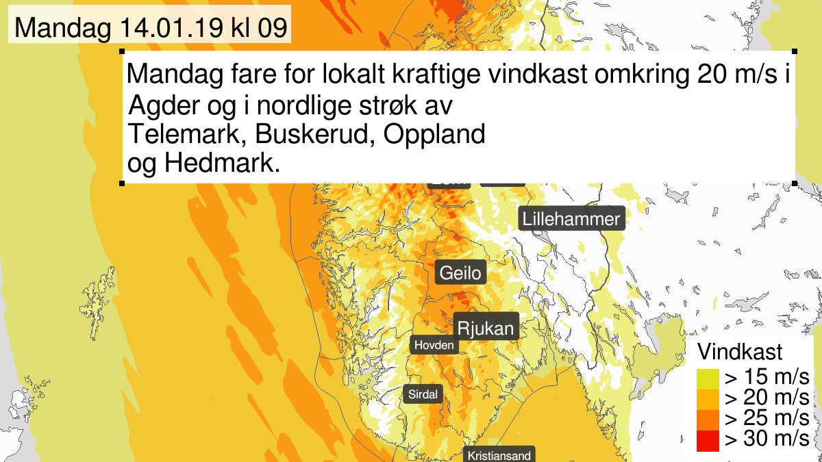 Kraftige vindkast, gult nivå, Vest-Agder, Aust-Agder, Telemark, Buskerud, Oppland og Hedmark, 14 January 05:00 UTC til 14 January 17:00 UTC.
