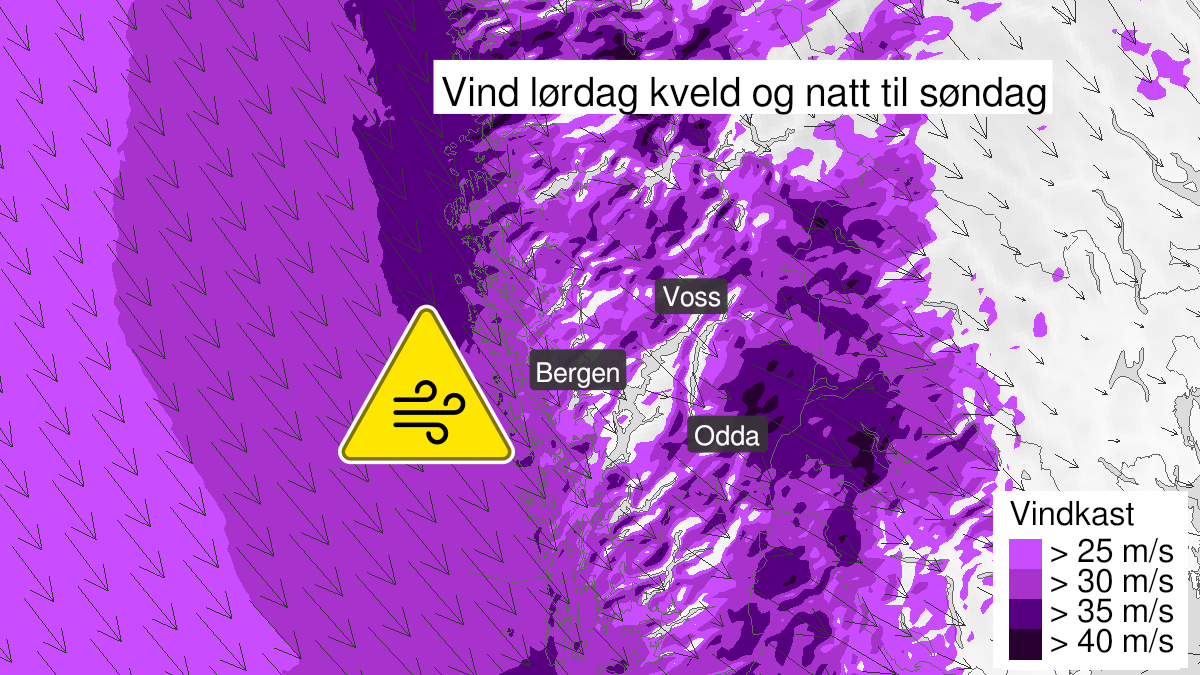 Map of strong wind gusts, yellow level, Hordaland, 29 January 19:00 UTC to 30 January 05:00 UTC.