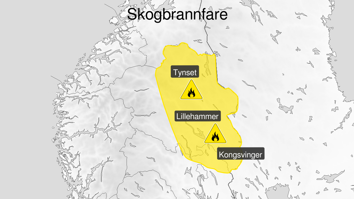 Kart over Skogbrannfare, gult nivå, Deler av Østlandet, 2023-06-28T04:00:00+00:00, 2023-06-29T22:00:00+00:00