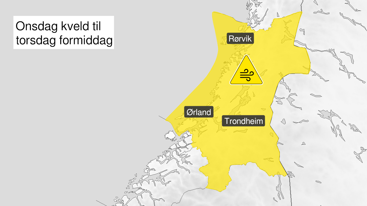 Kart over kraftige vindkast, gult nivå, Trøndelag, 19 January 18:00 UTC til 20 January 11:00 UTC.