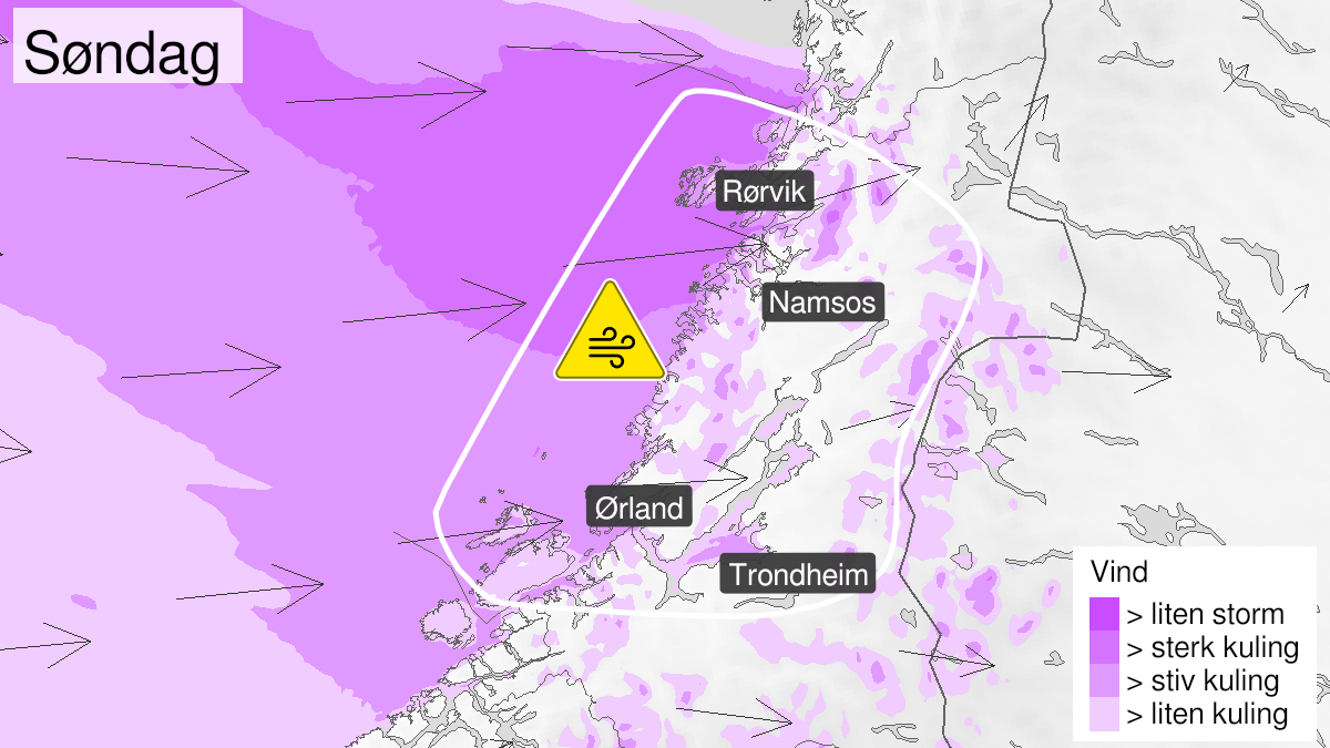 Map over Strong wind gusts, yellow level, Parts of Trøndelag, 2024-08-11T07:00:00+00:00, 2024-08-11T20:00:00+00:00